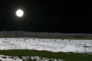 Blue Moon over the Somerset Levels